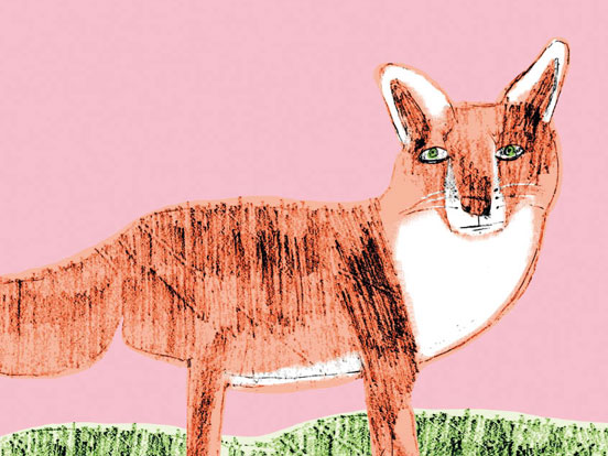 Eine Zeichnung eines Fuchses, der auf grünem Gras steht.