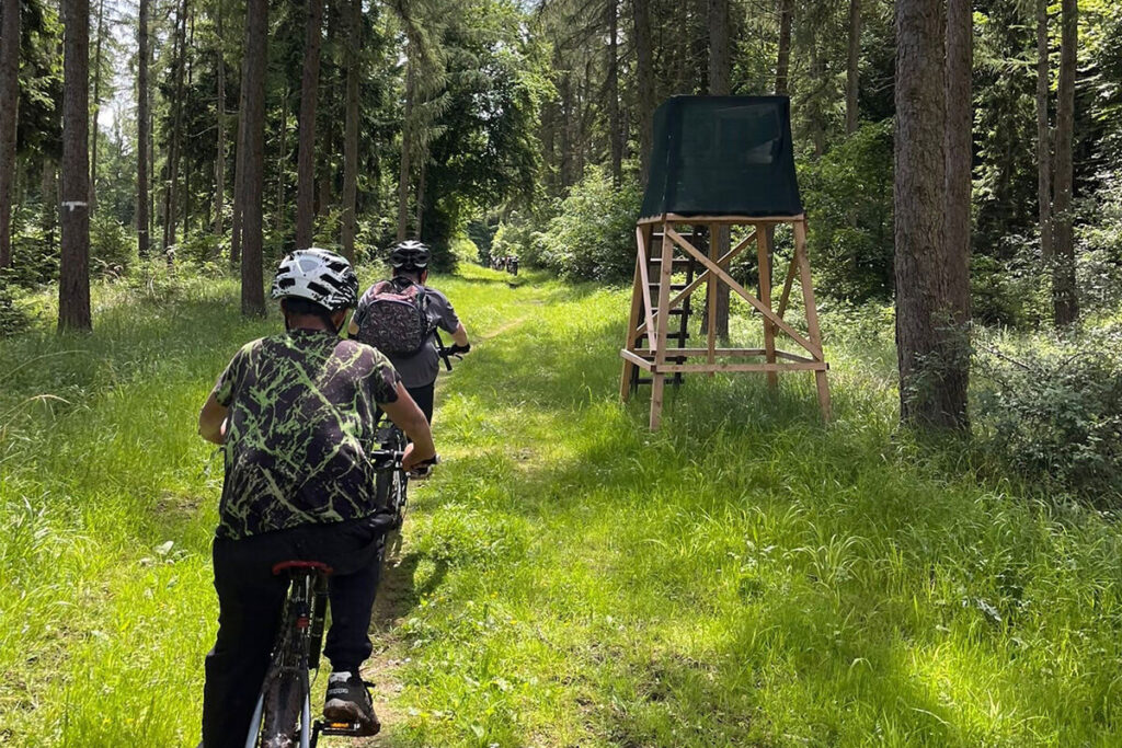 Zwei Personen fahren mit Fahrrädern durch einen dichten Wald.