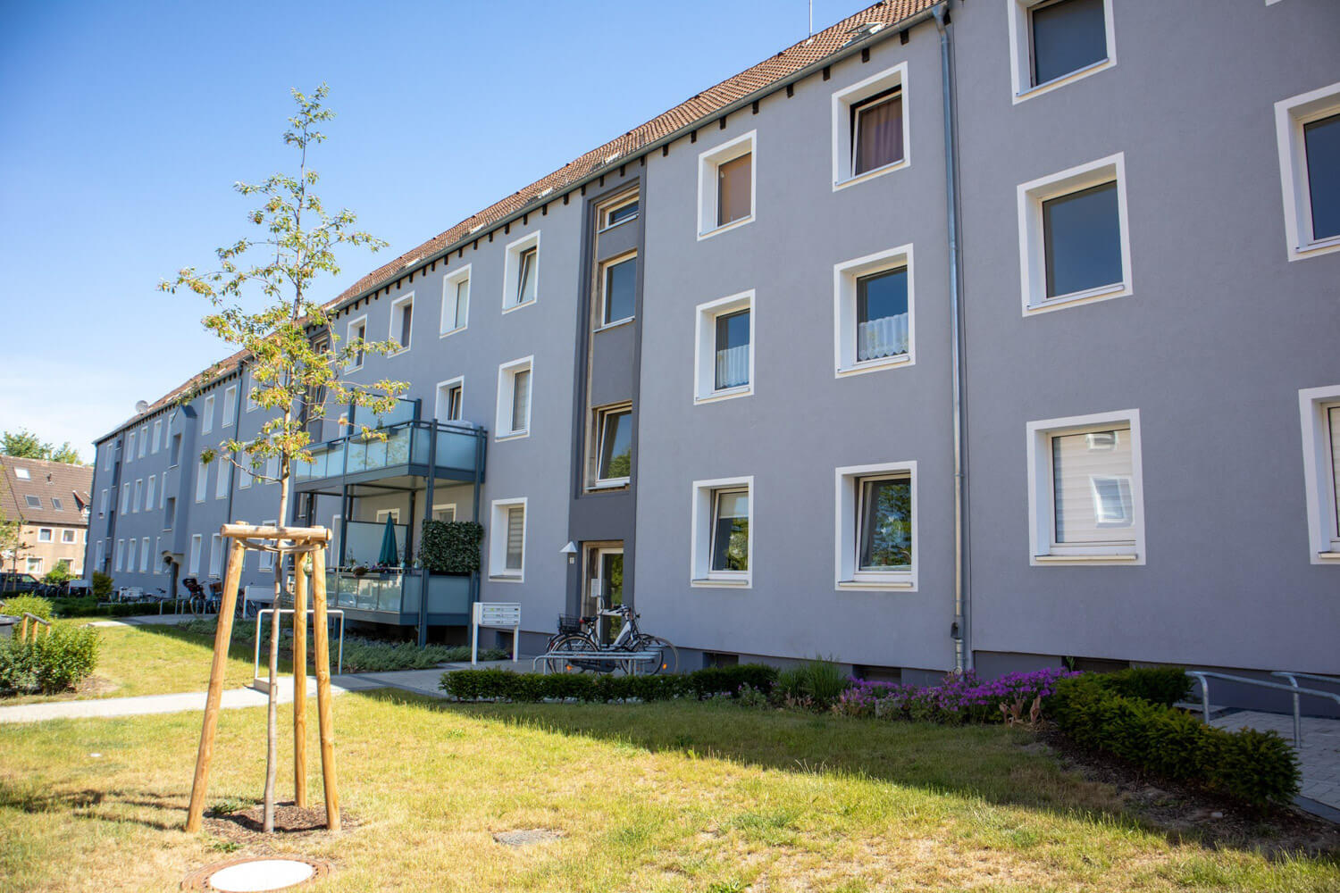 Ein Gebäude mit einem Baum davor, der die Fassade teilweise verdeckt.
