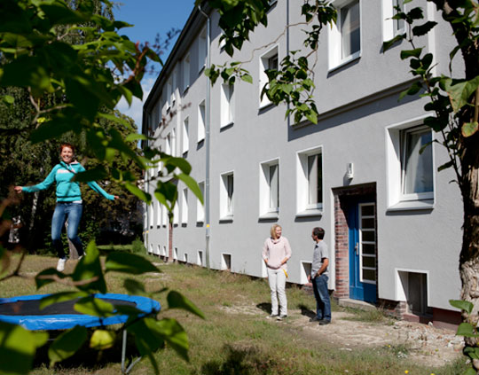Ein Baum mit grünen Blättern, der in einem sonnigen Park steht.